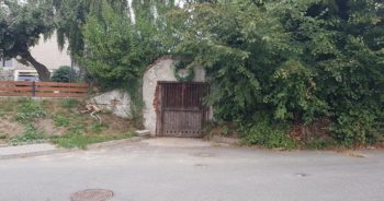 Tajemnicze drzwi na ulicy Wodnej – historia piwnicy winiarskiej