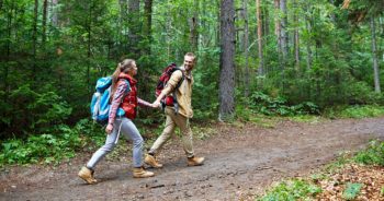 Można już wchodzić do lasu!