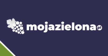 Tablice rejestracyjne woj. lubuskie – tablice na literę F