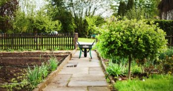 Gdzie składać wnioski o działki na Srebrnej Polanie. Do kiedy można je składać?