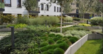 Dlaczego warto zdecydować się na dach zielony?