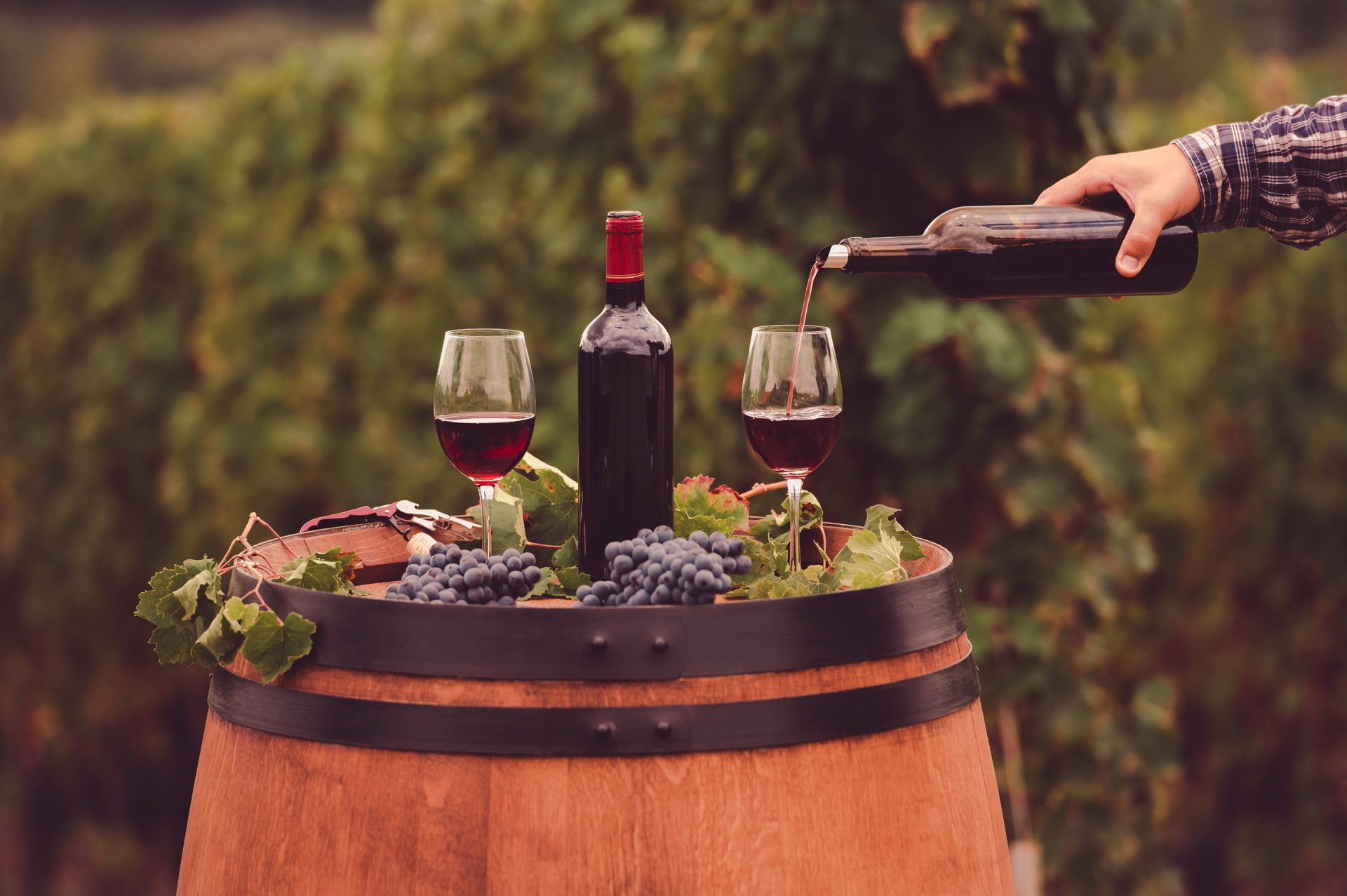 V Lubuski Festiwal Otwartych Piwnic i Winnic już w maju!